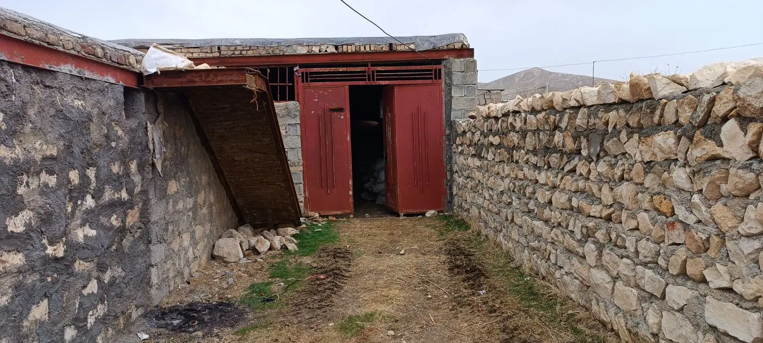 دامداری