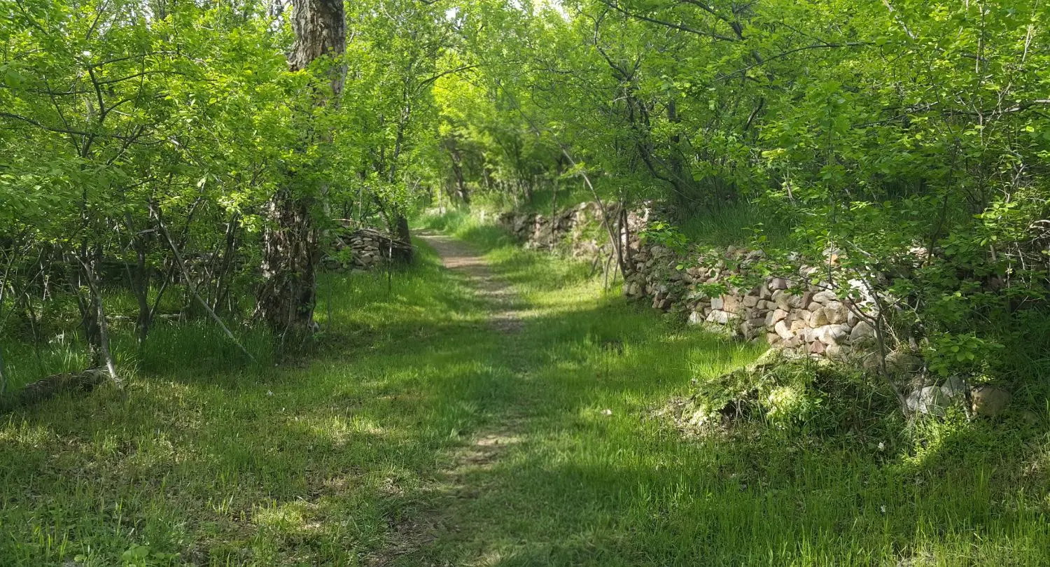 زمین ۴۰۰۰ متری در شهمیرزاد