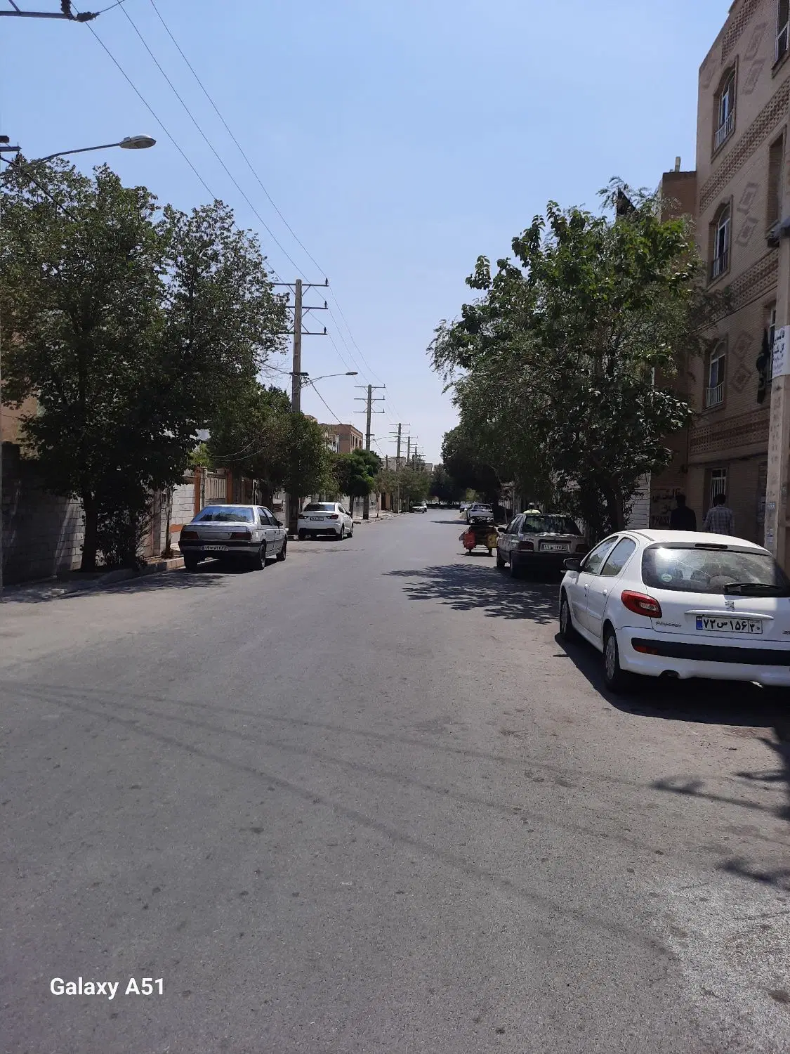 فرگاز بر بلوار زمین ۱۲۳۵متری سند تک برگ
