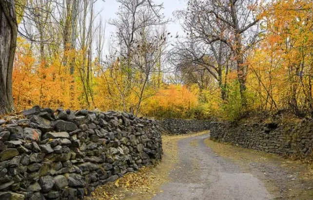 فروش زمین باغی پردیس