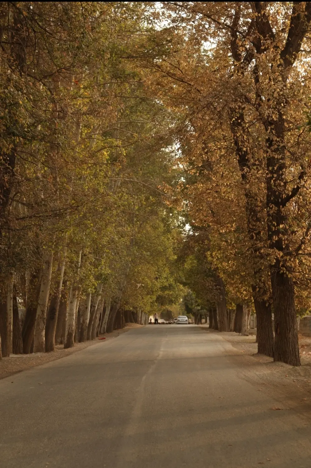 ویلای دنج 600 متری شهرکی  با استخر و نگهبان ...