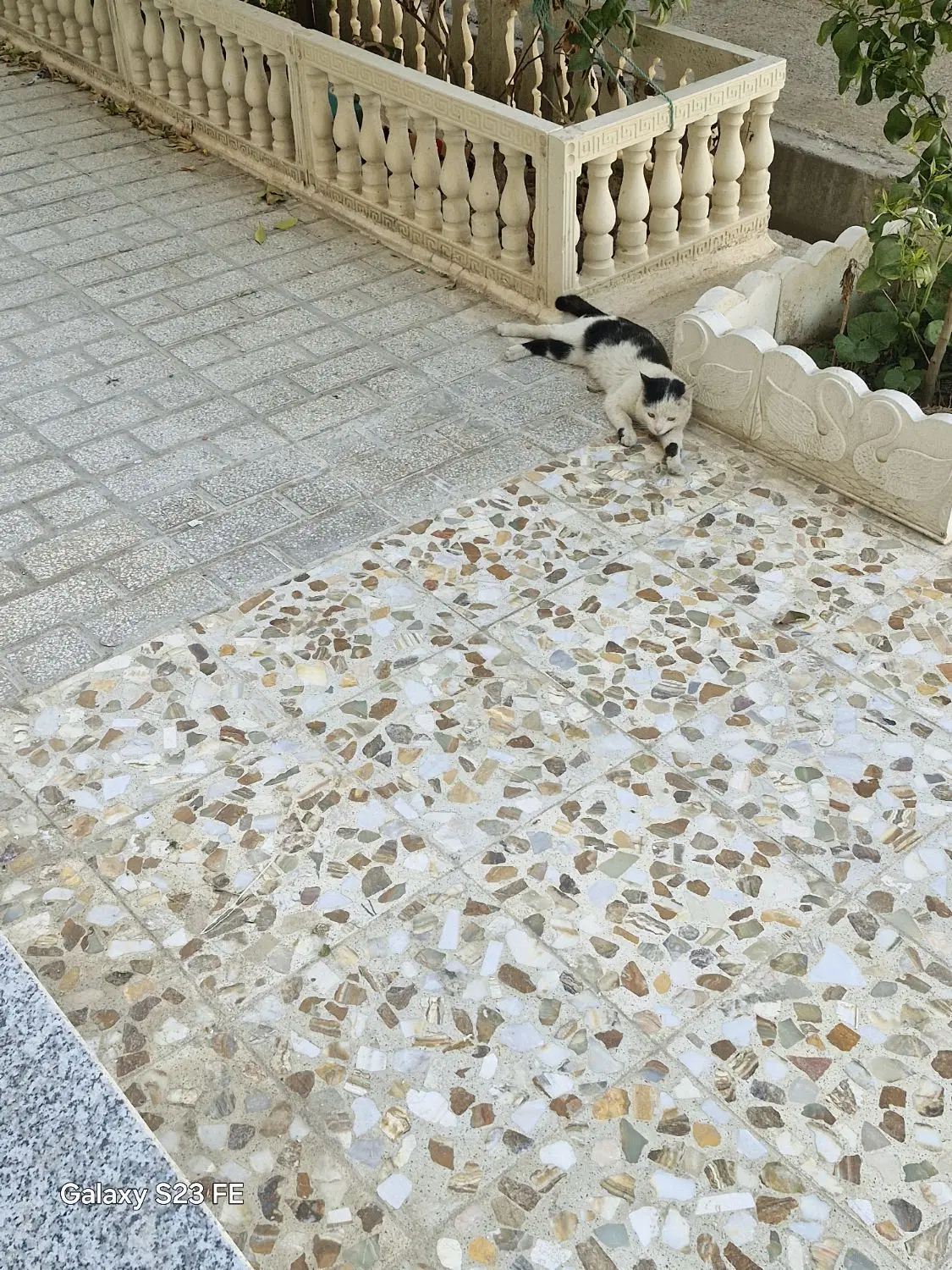 رهن واجاره