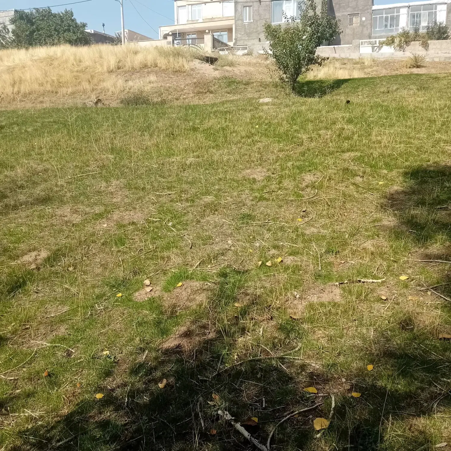 زمین در تهم