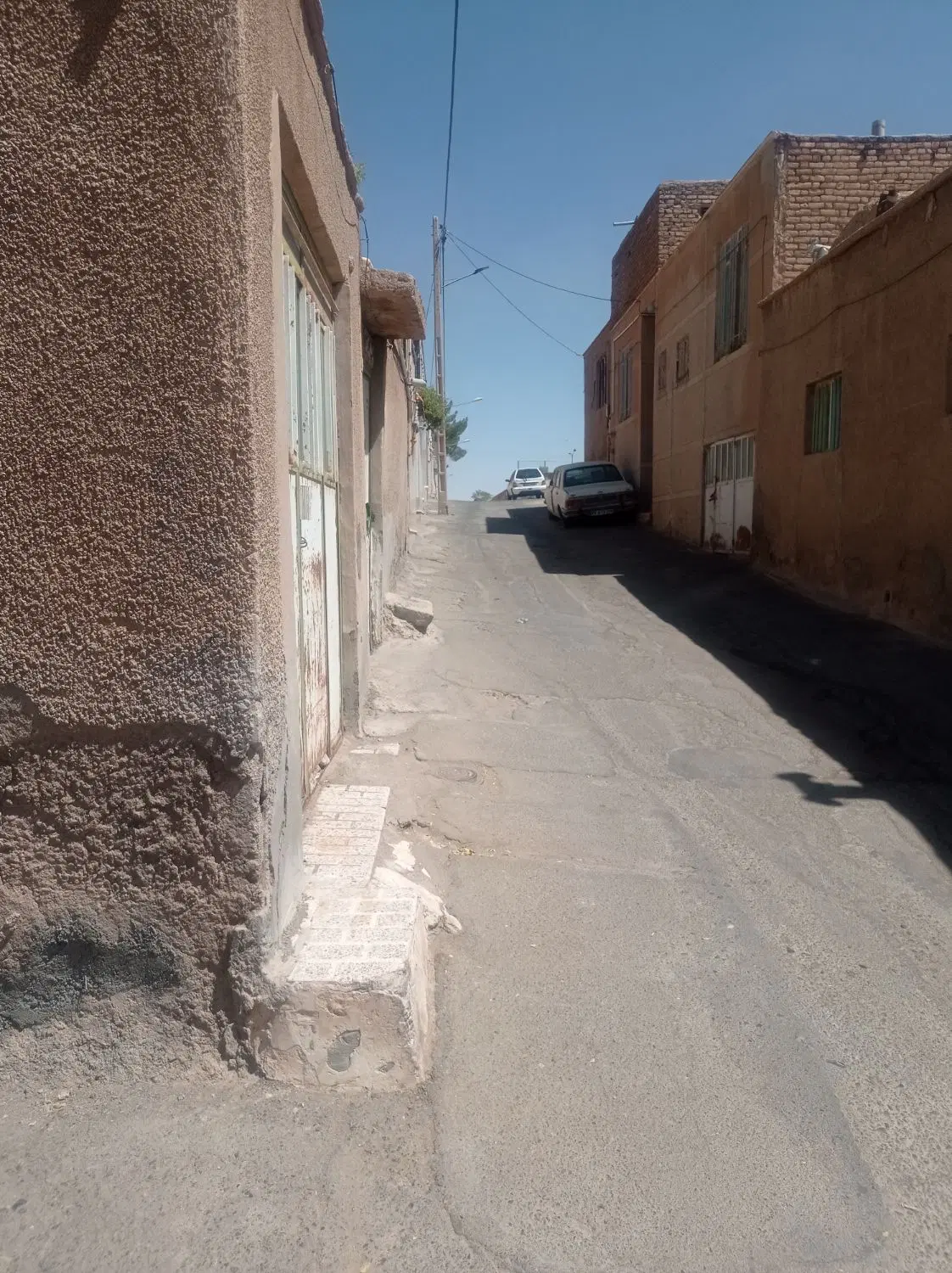 نیازمند همخونه