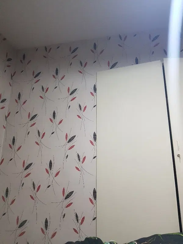 رهن ملک