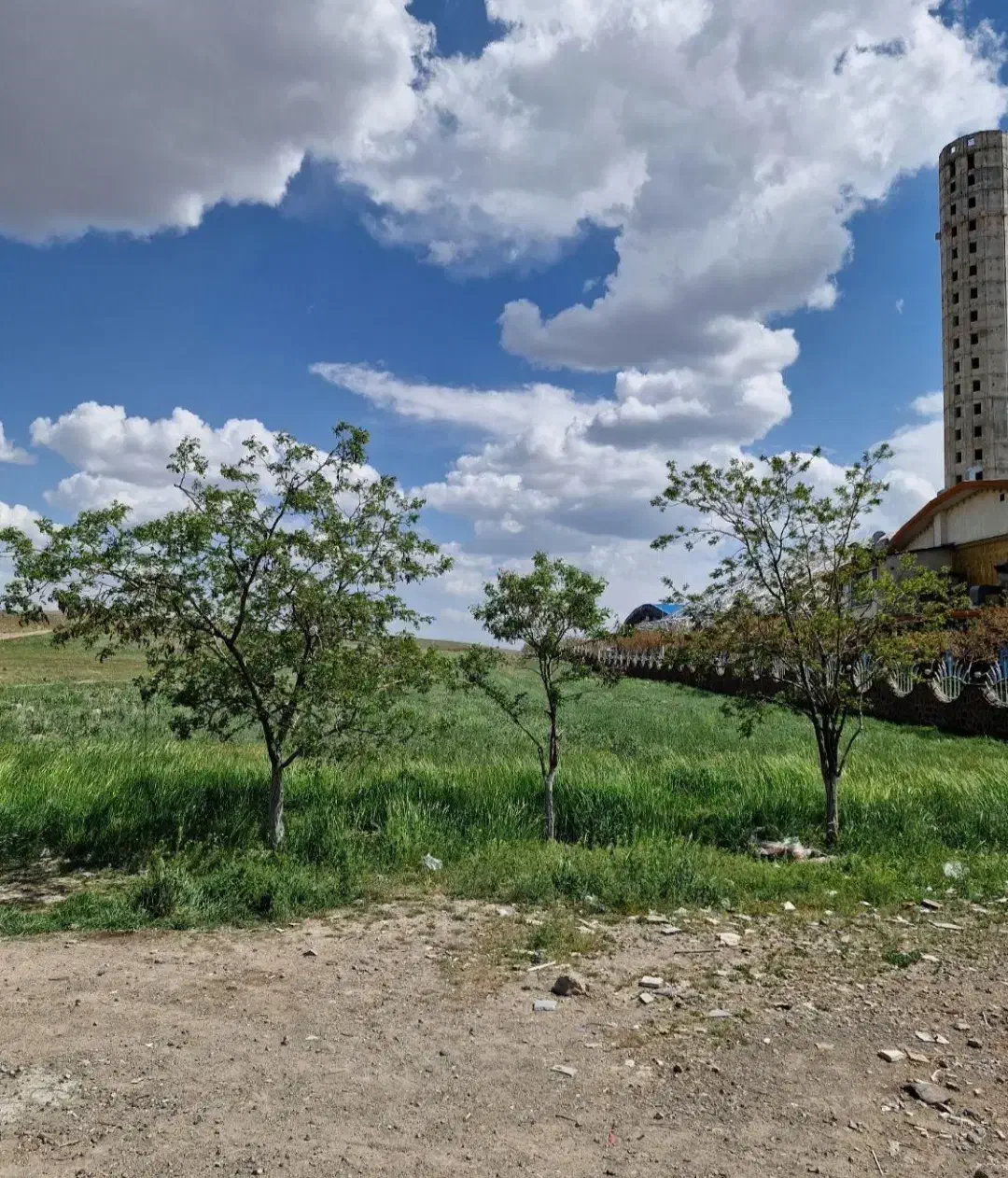 زمین پشت تالار شهر