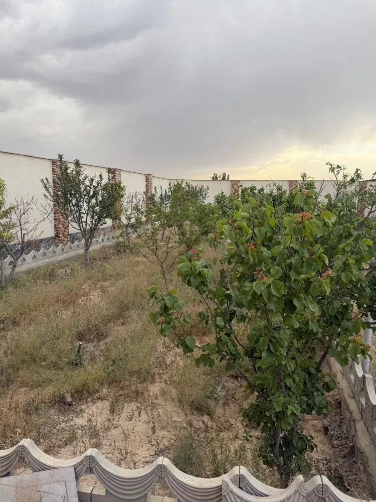 فروش عالی