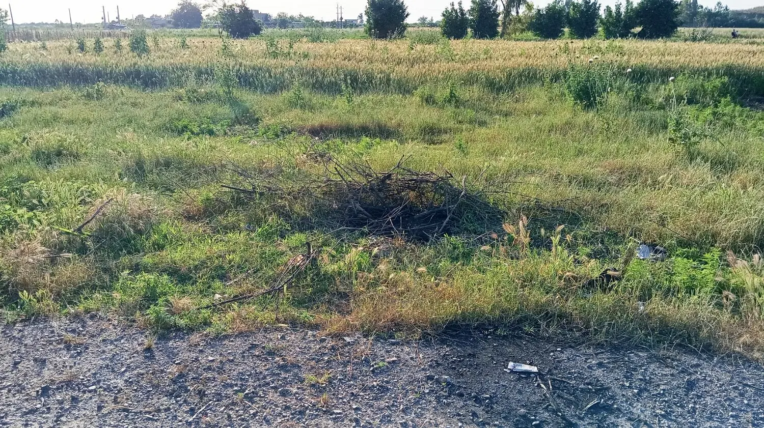 زمین حیاطی در شهر خان ببین روستای ازداری