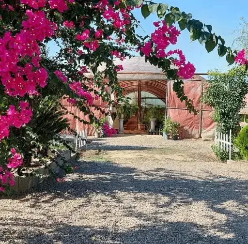 گلخانه کامل با ۴ سوله مجهز و سند تک‌برگ