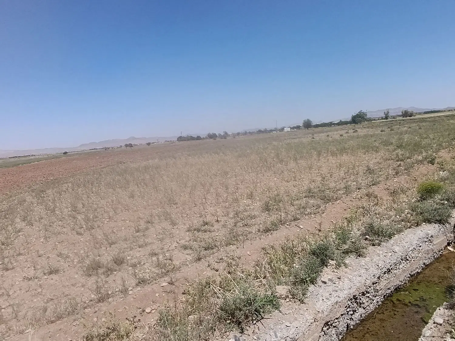 1500متر زمین کشاورزی باغی روستای رشید آباد