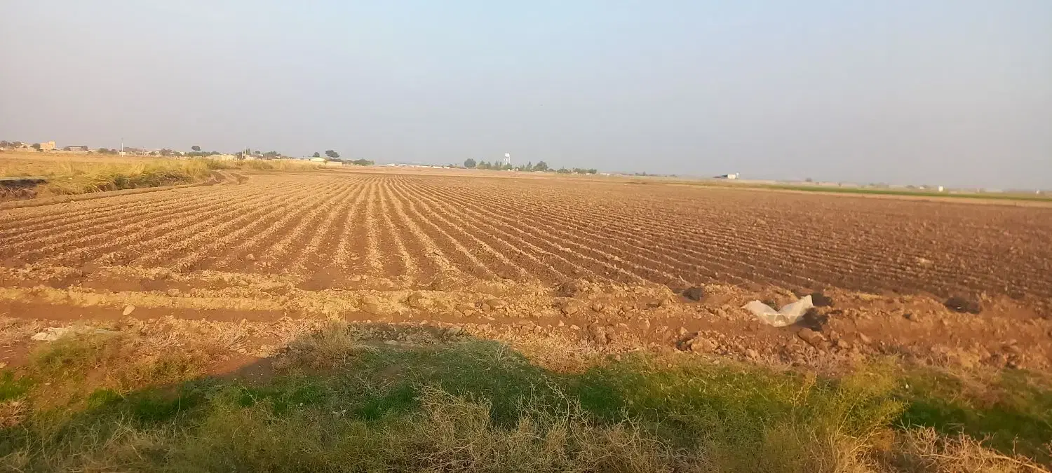 ۴۰هکتارزمین کشاورزی  سندشیش دانگ