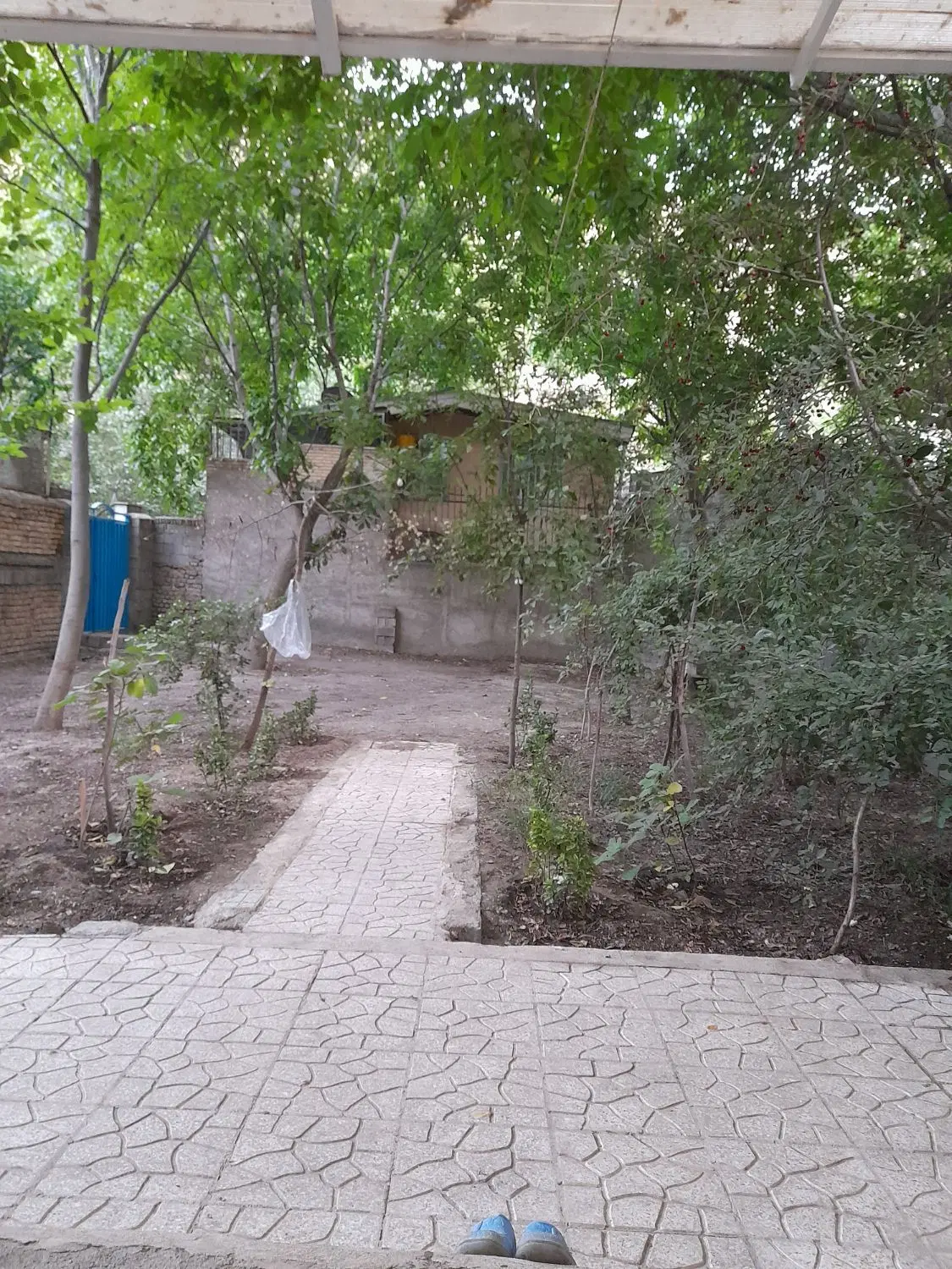 سوئیت ۲۵ متری در آزادگان