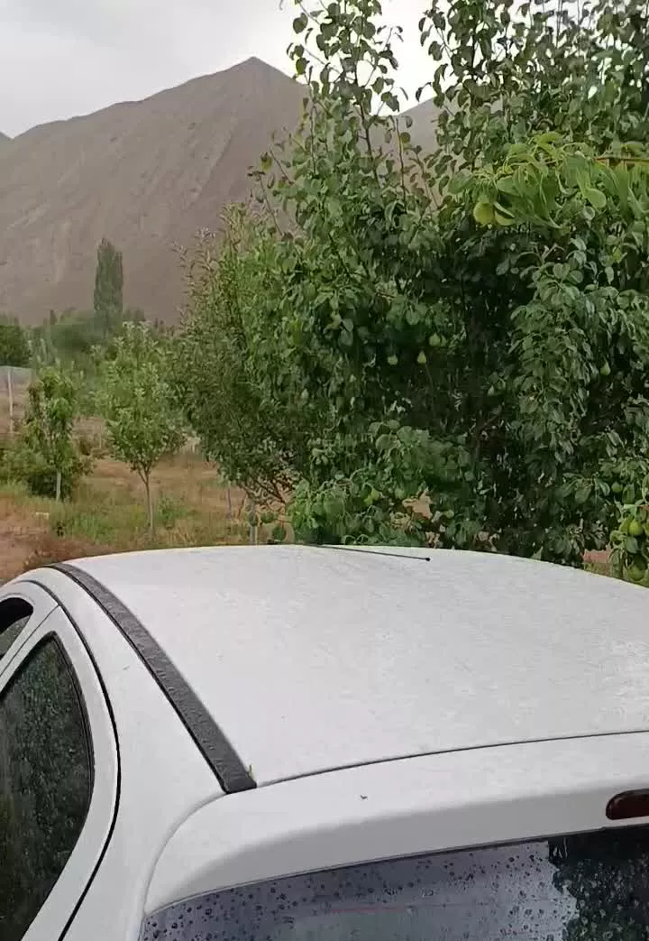 باغ