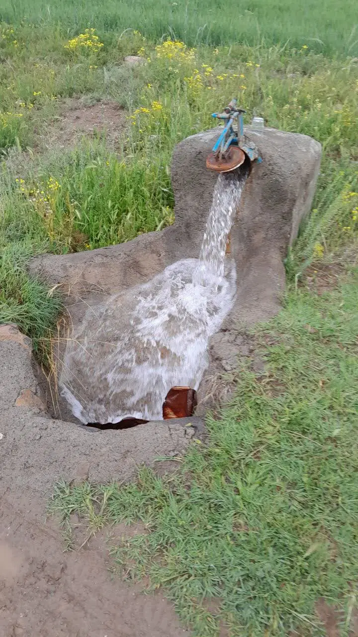 باغ
