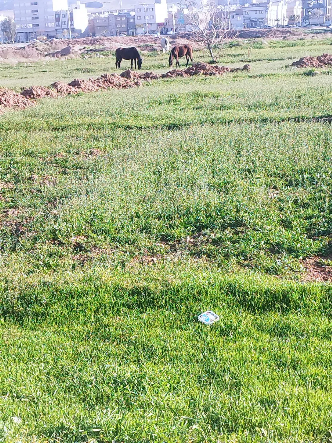 زمین محمود آباد