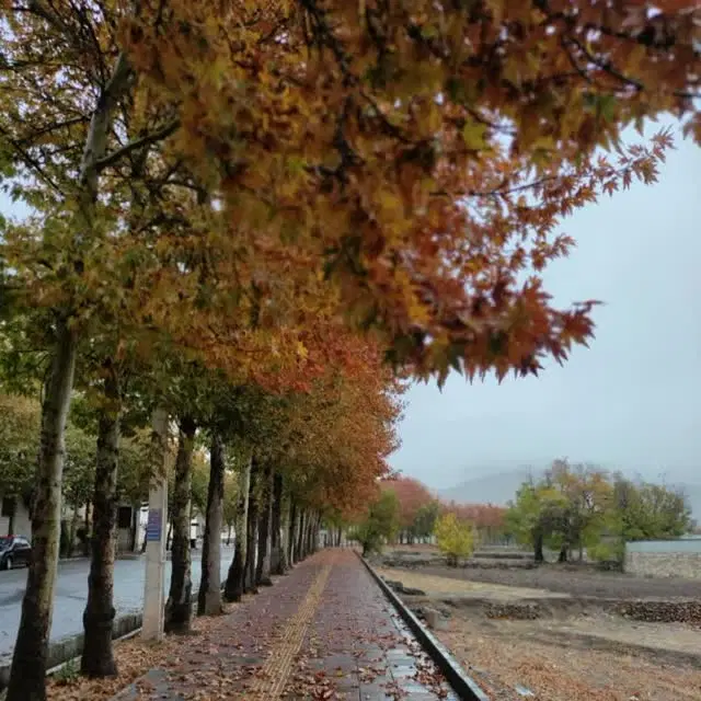 زمین روستای رازان داخل طرح هادی