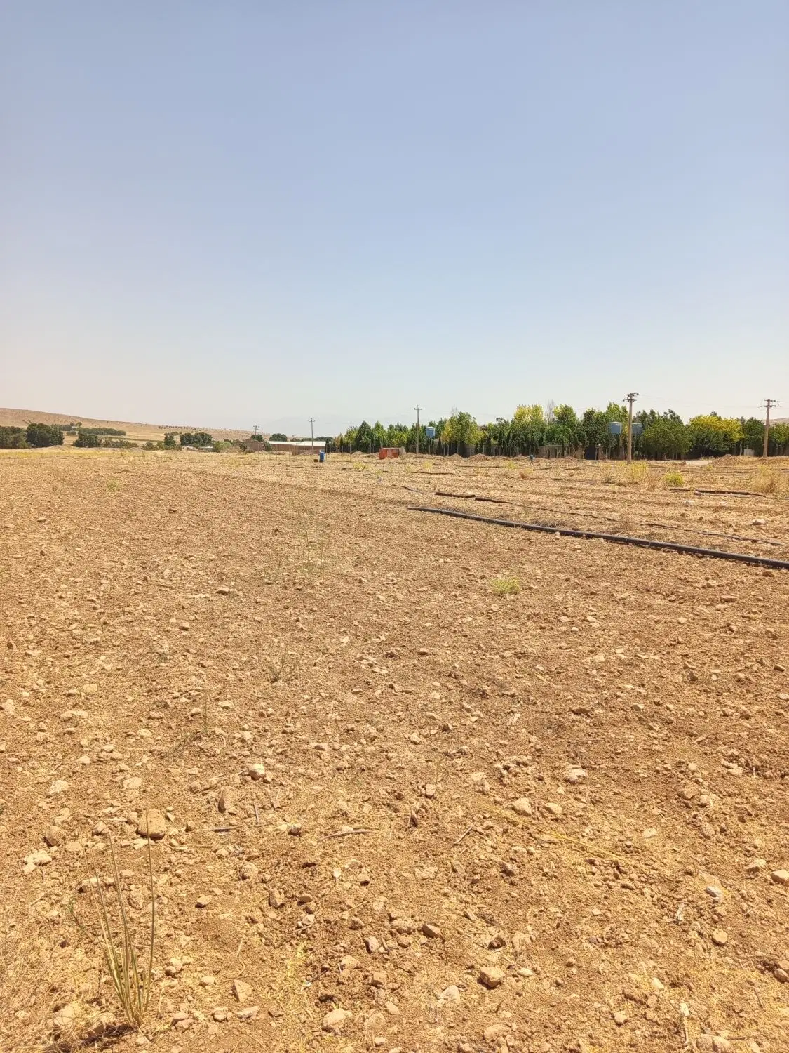 زمین ویلایی یا ساخت باغچه اطراف شیراز