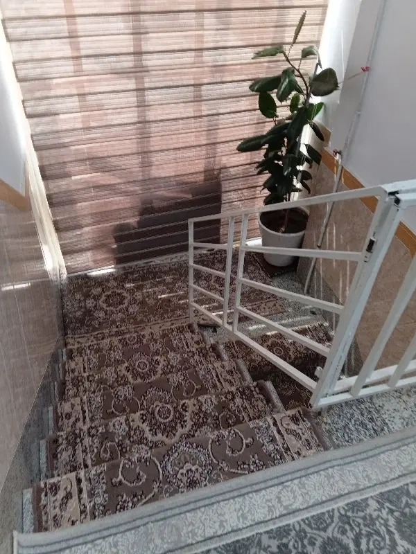 زیر زمین لعلی