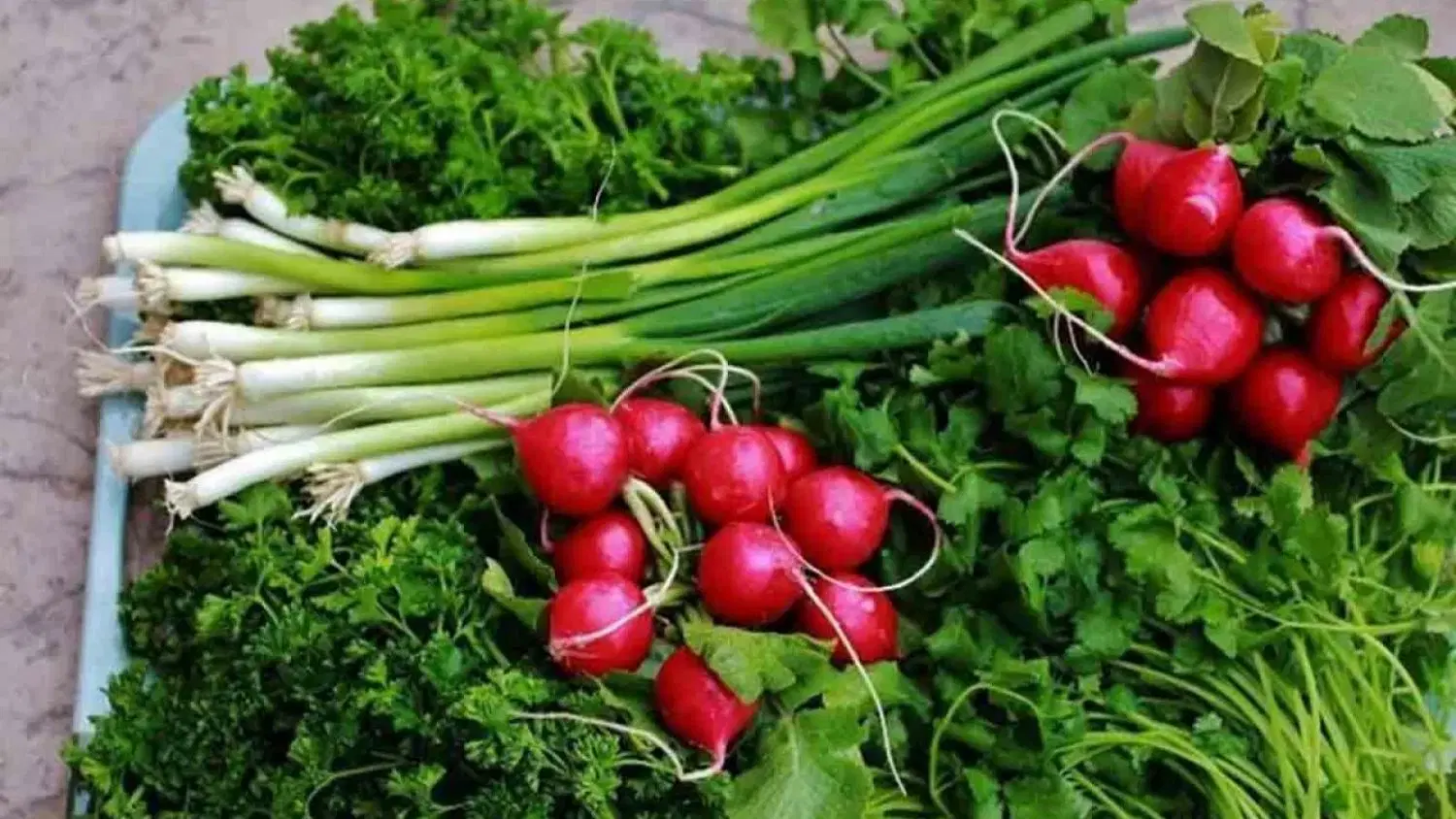 اجاره بخش سبزی فروشی