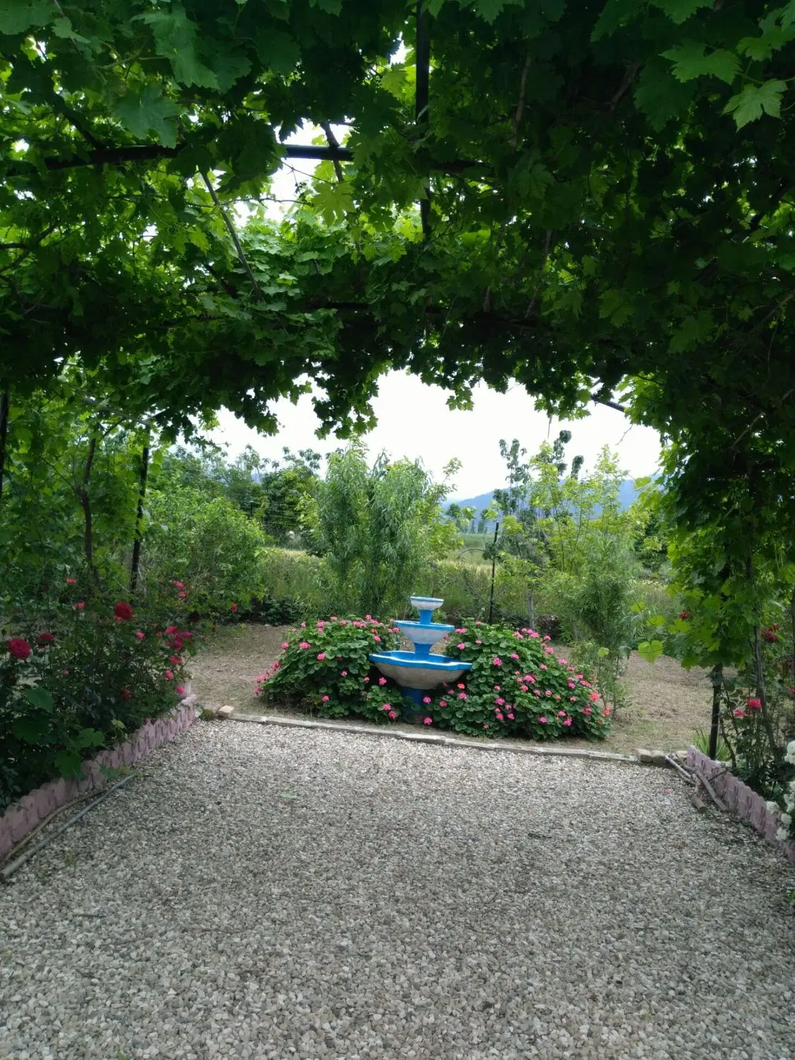 باغ بسیار زیبا