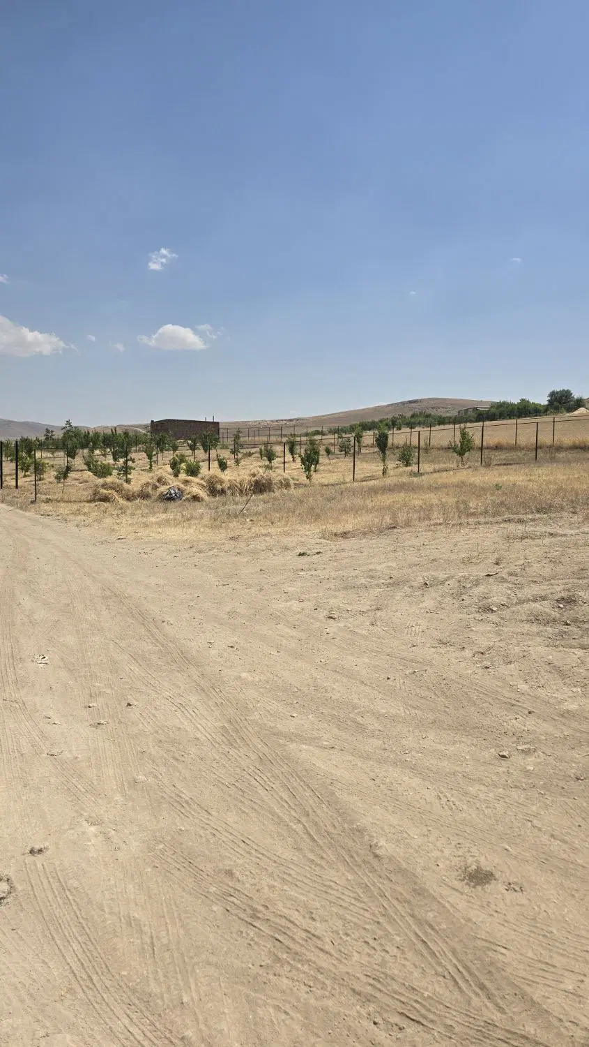 زمین برای خانه باغ
