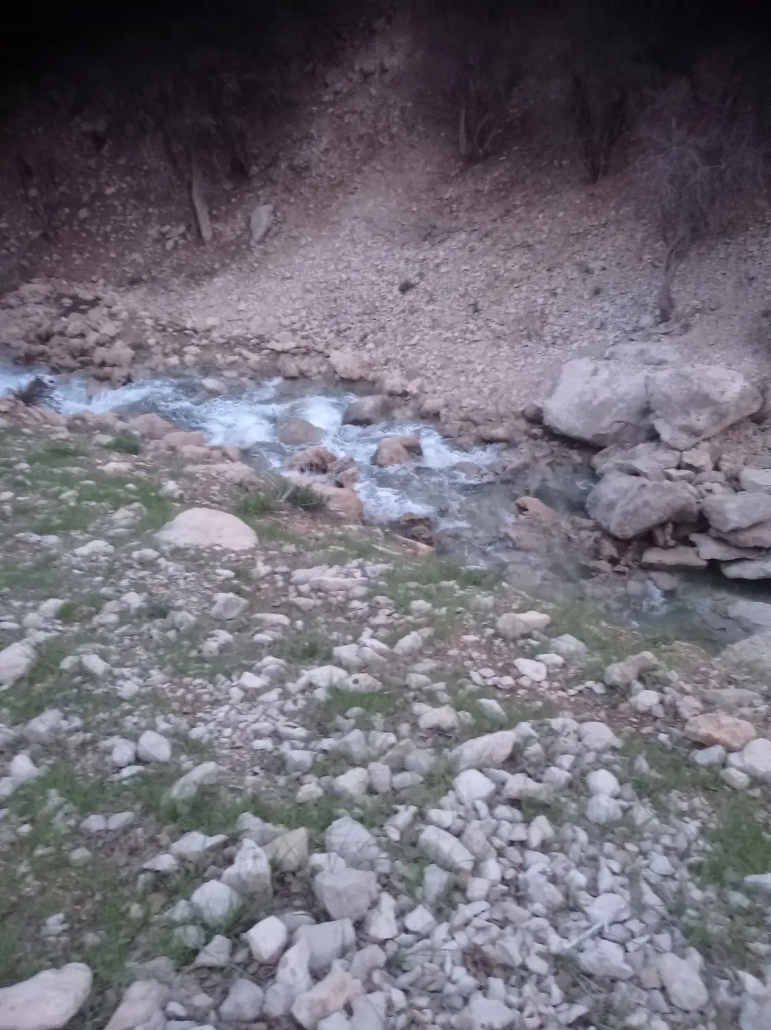 زمین ویلایی