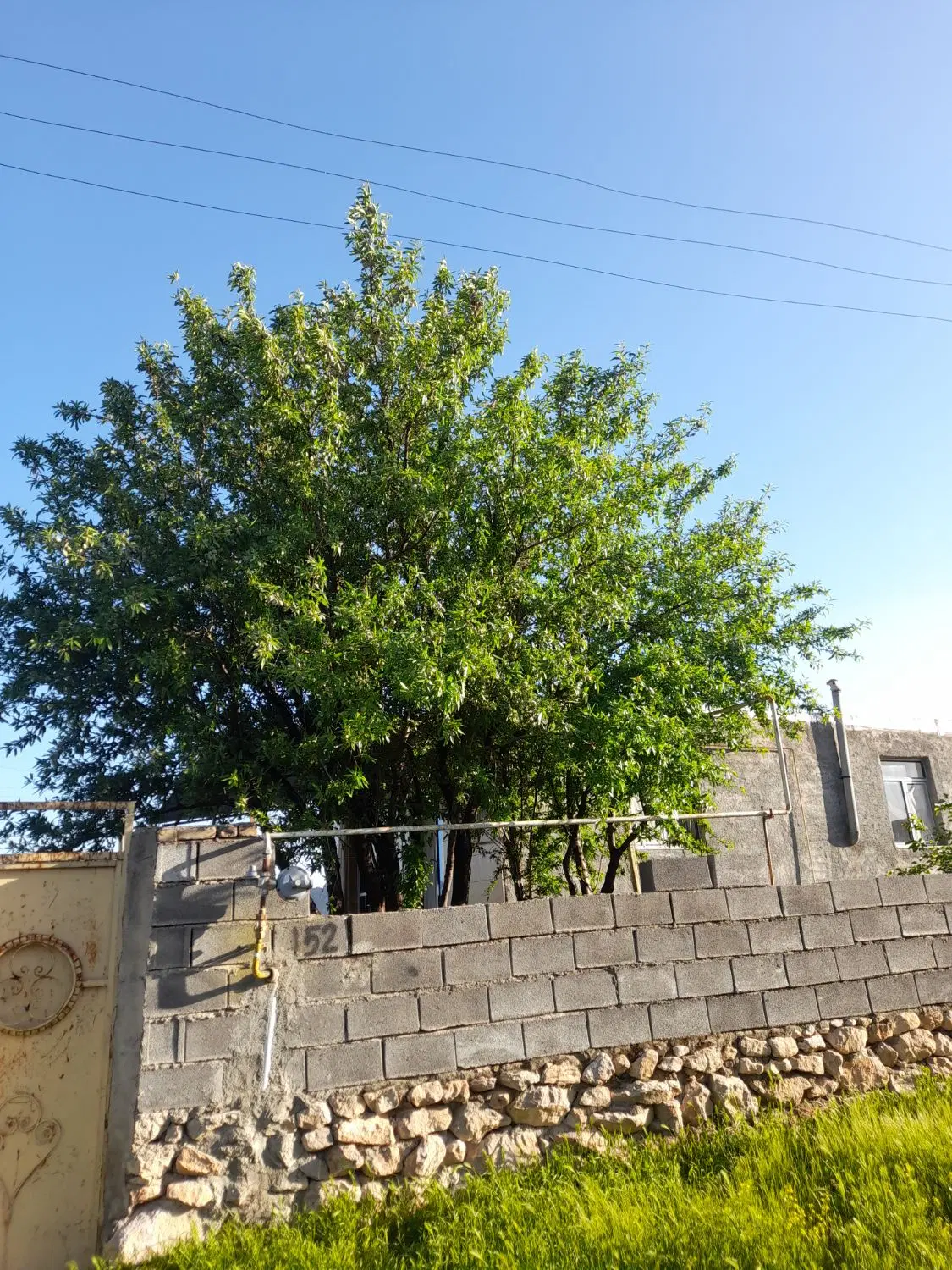 خانه روستایی