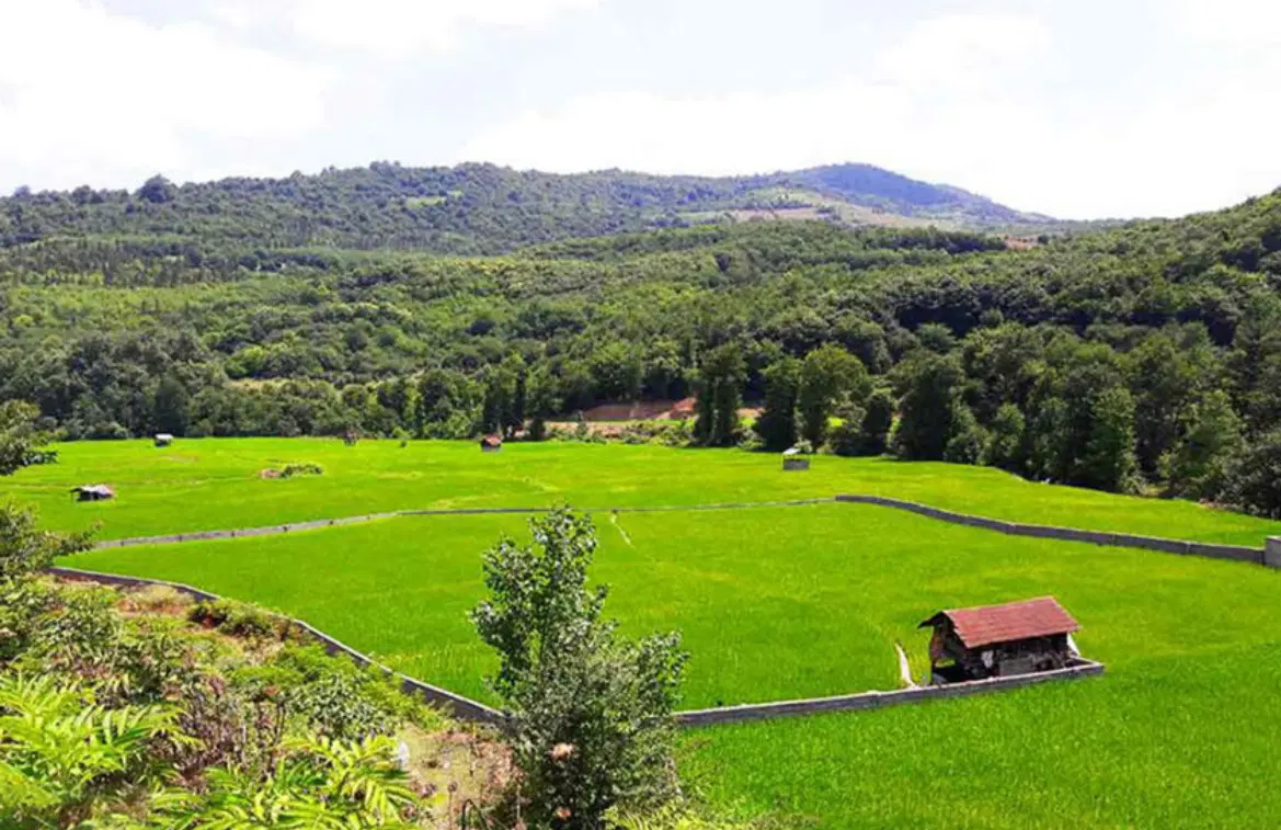 زمین فروشی چمستان داخل شهرک