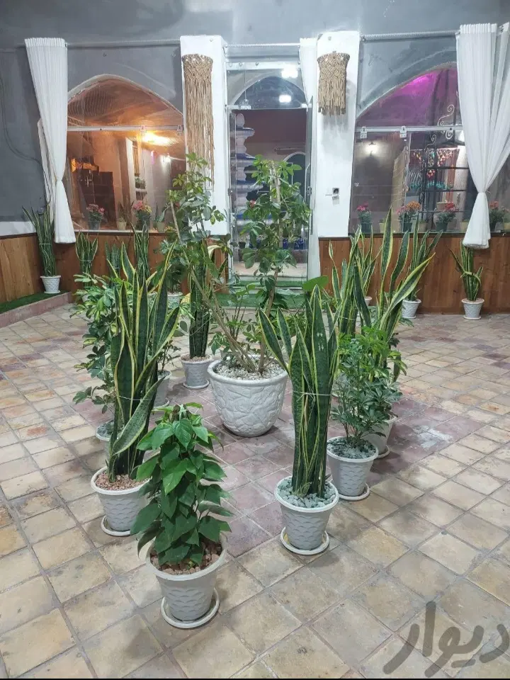 ۱۰۰۰متر سوله جهت کوثر