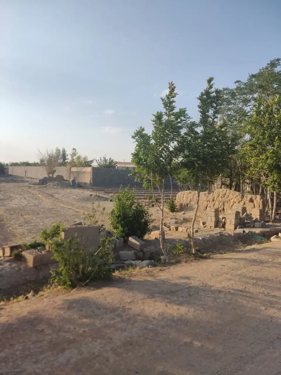 زمین باغی