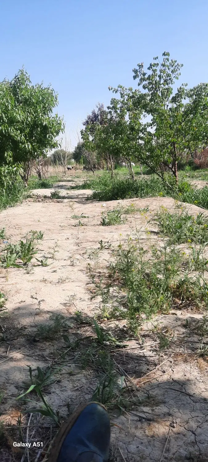فروش اپارتمان نیمه کاره