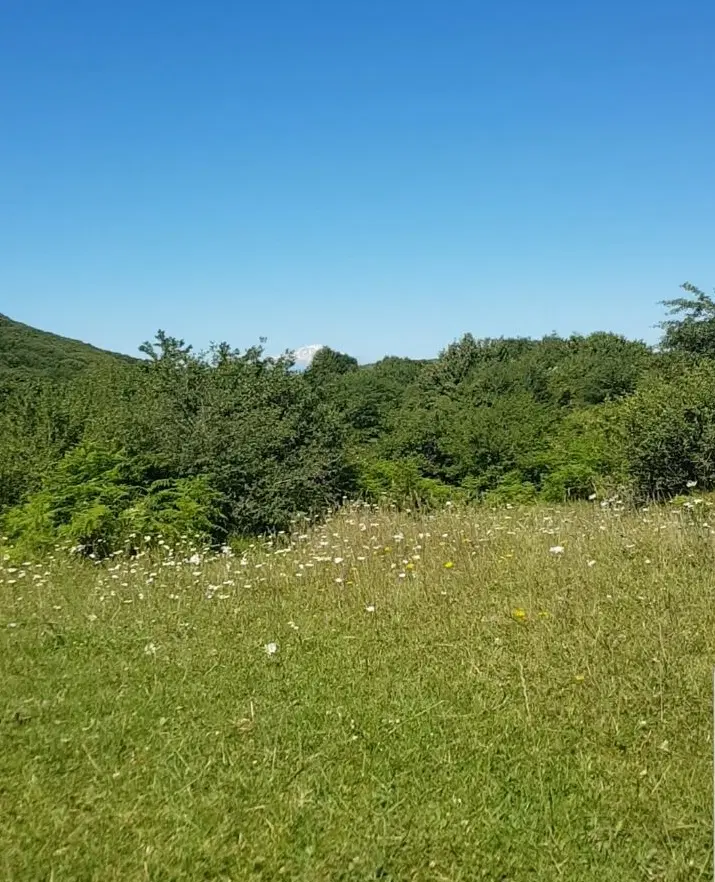 ۶۵۰ متر زمین