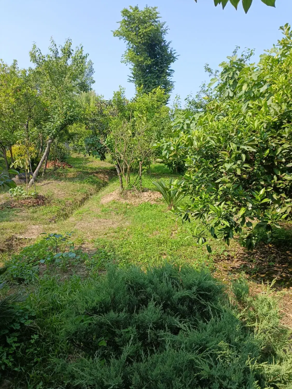 ۵۰۰ متر مسکونی سند دار