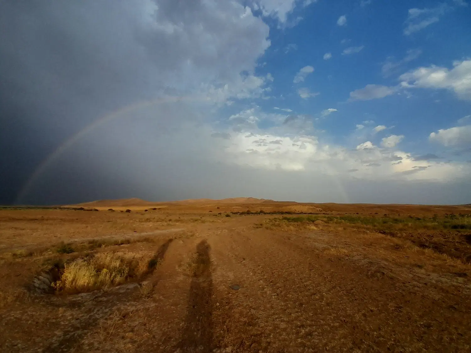 زمین بهشتی ۴ سیدرضا۱۰