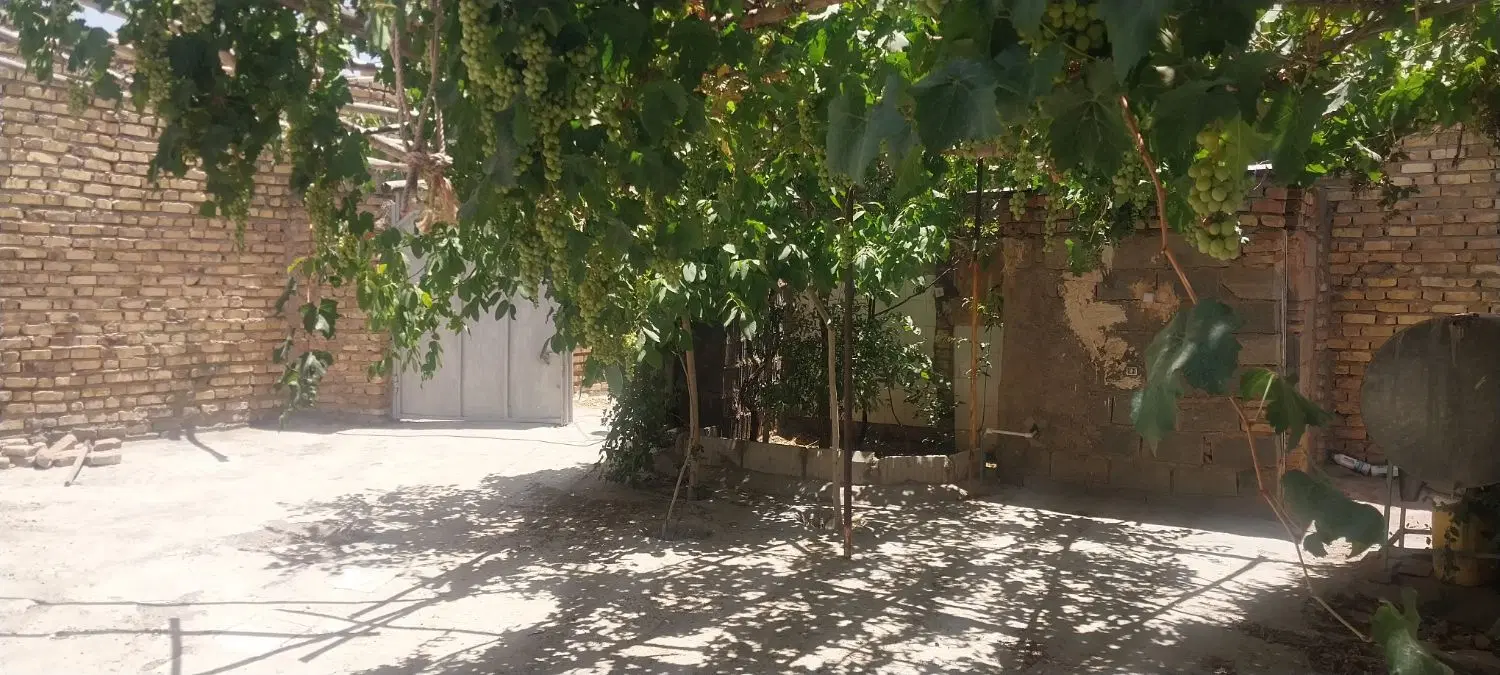 خانه باغ نقلی