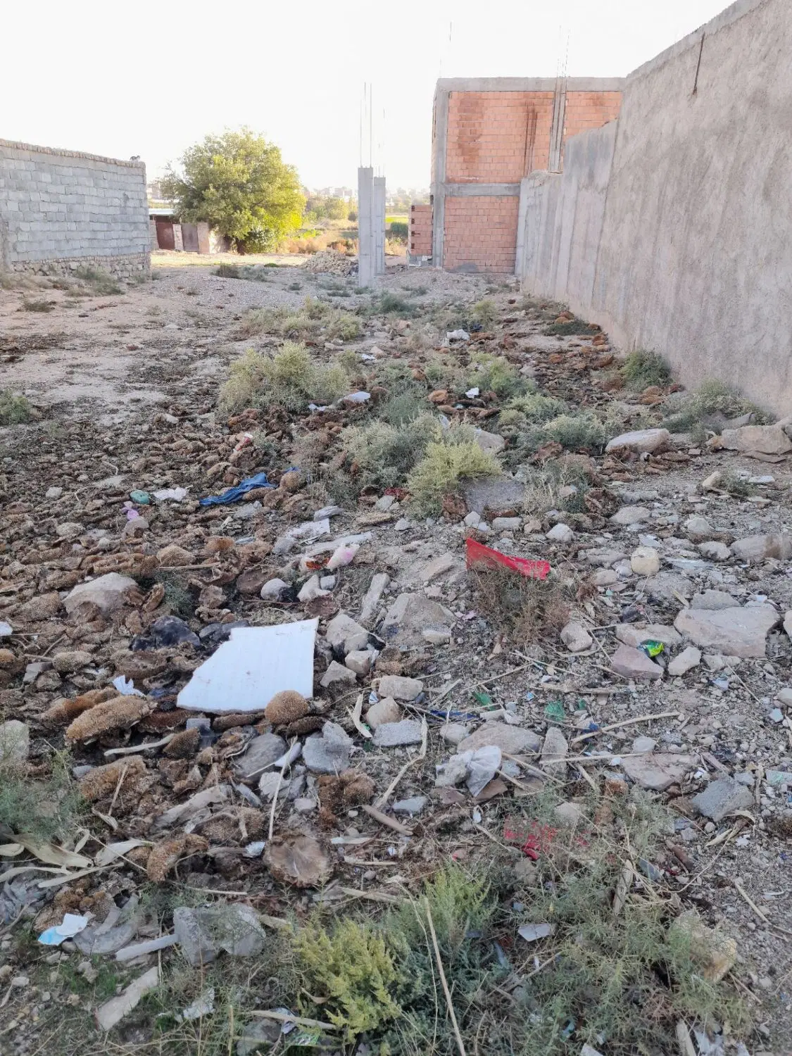 زمین حاجی بیگلر