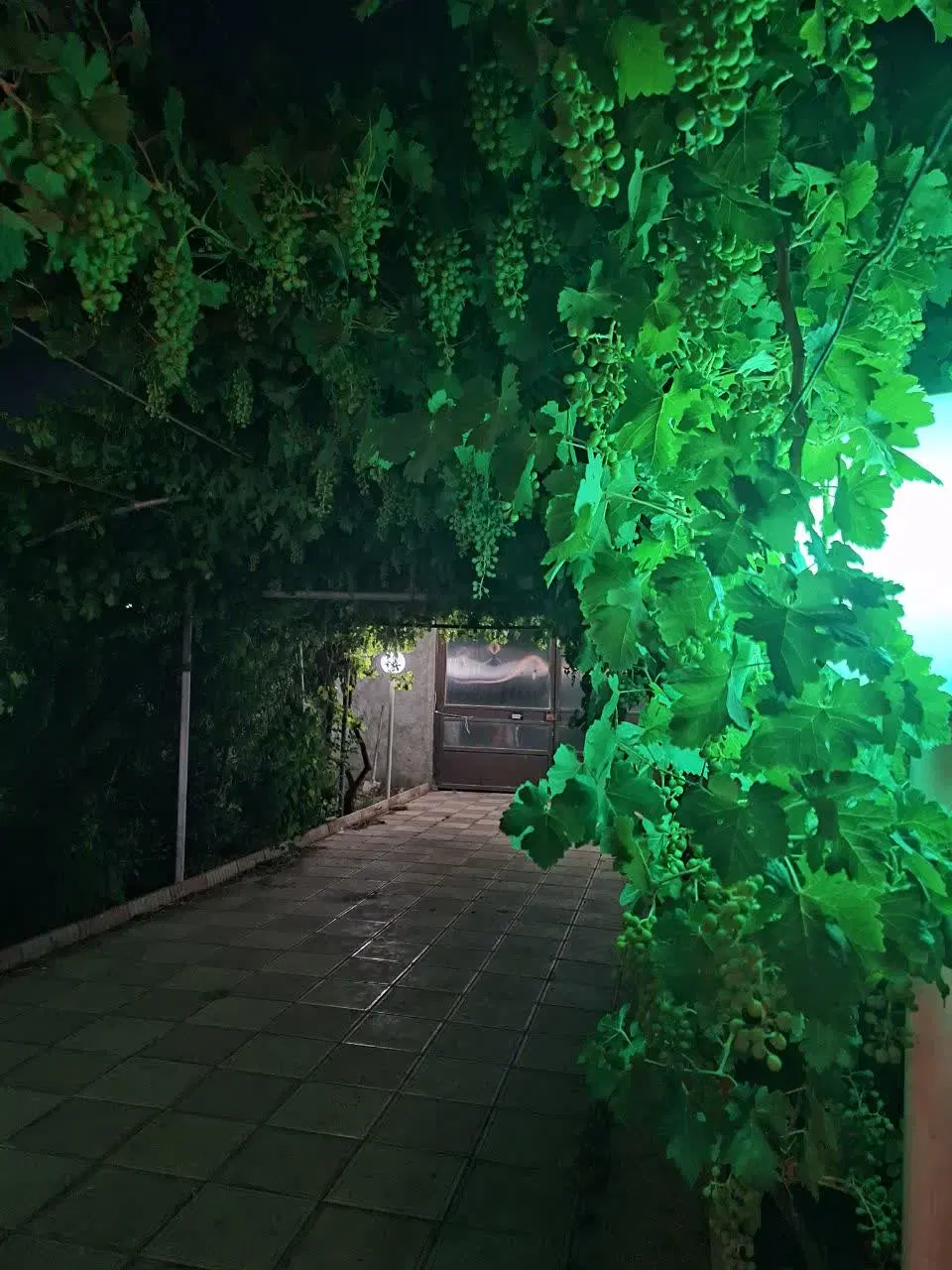 فروش زمین یزد