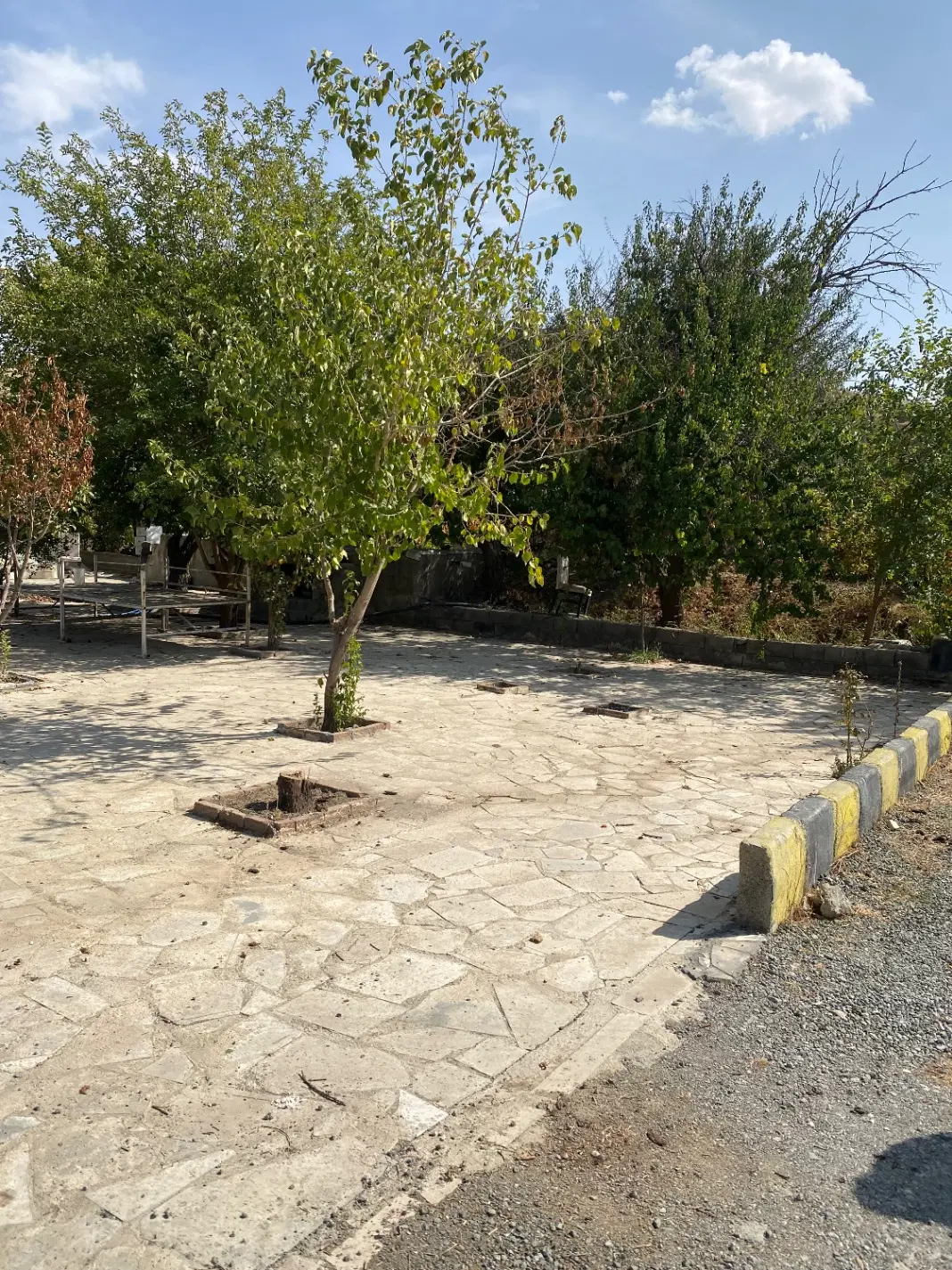 باغ ویلا