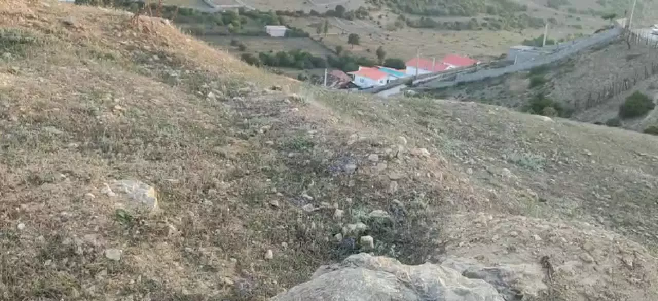 زمین کجور کدیر