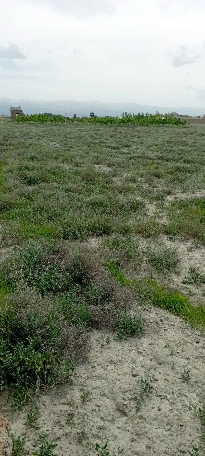 زمین ملک عبدل اباد