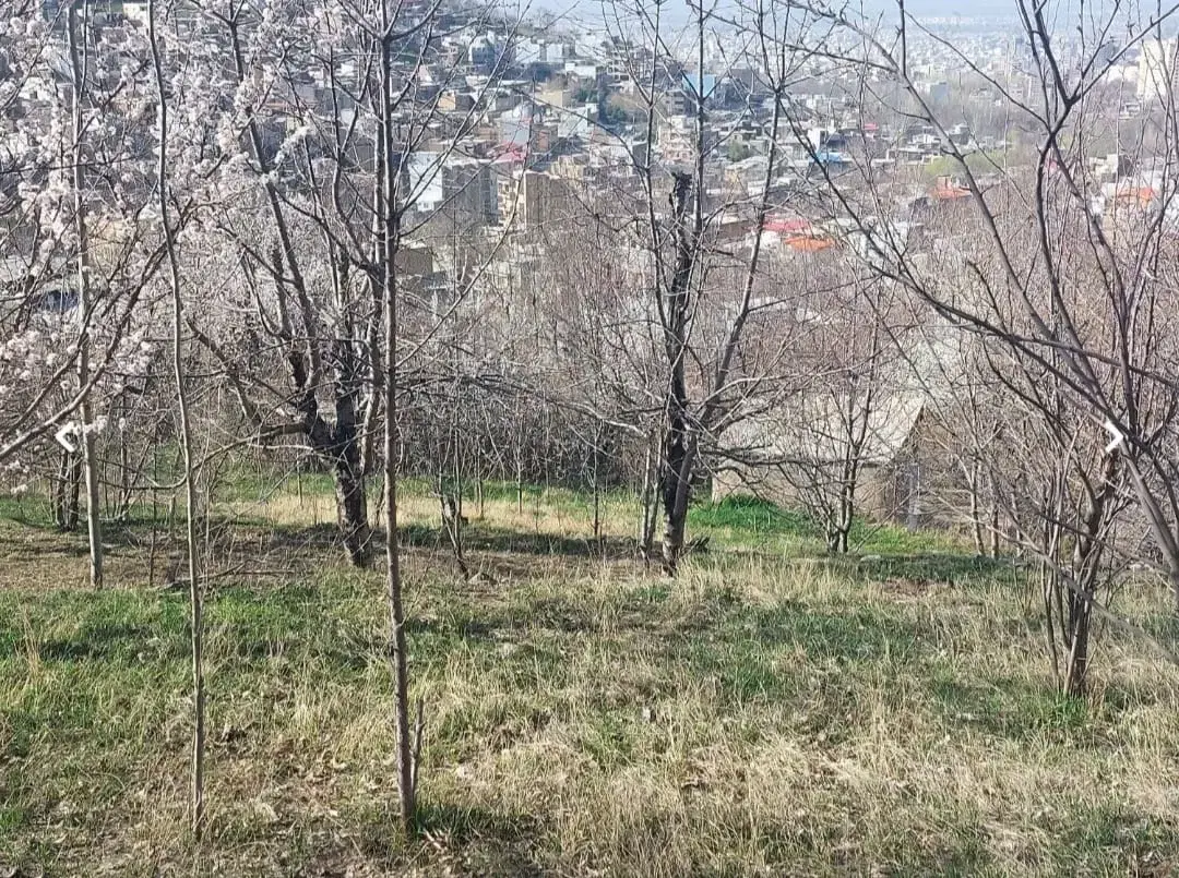 330 متر باغ دره مرابیگ