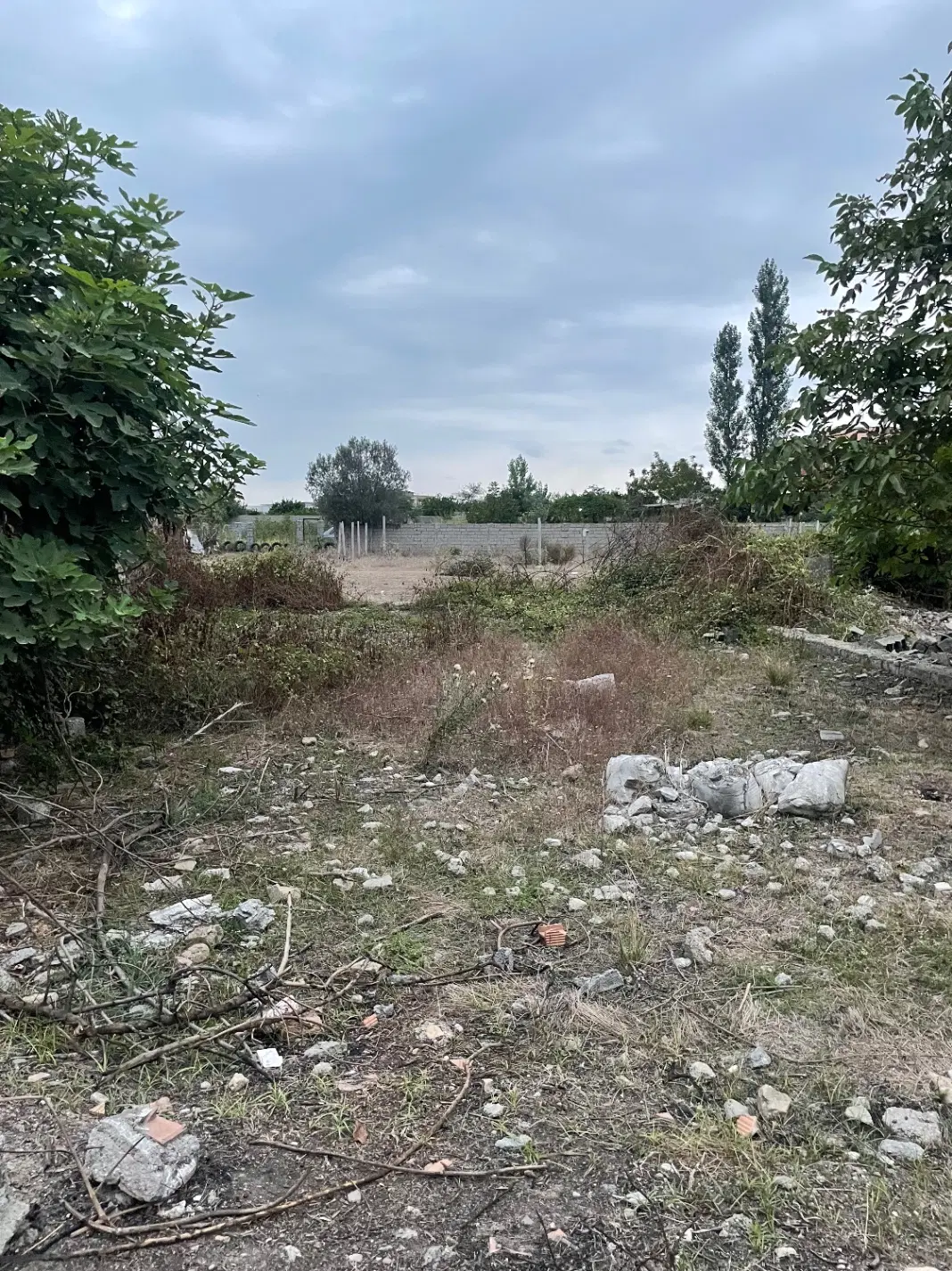 زمین در کوی اصحاب