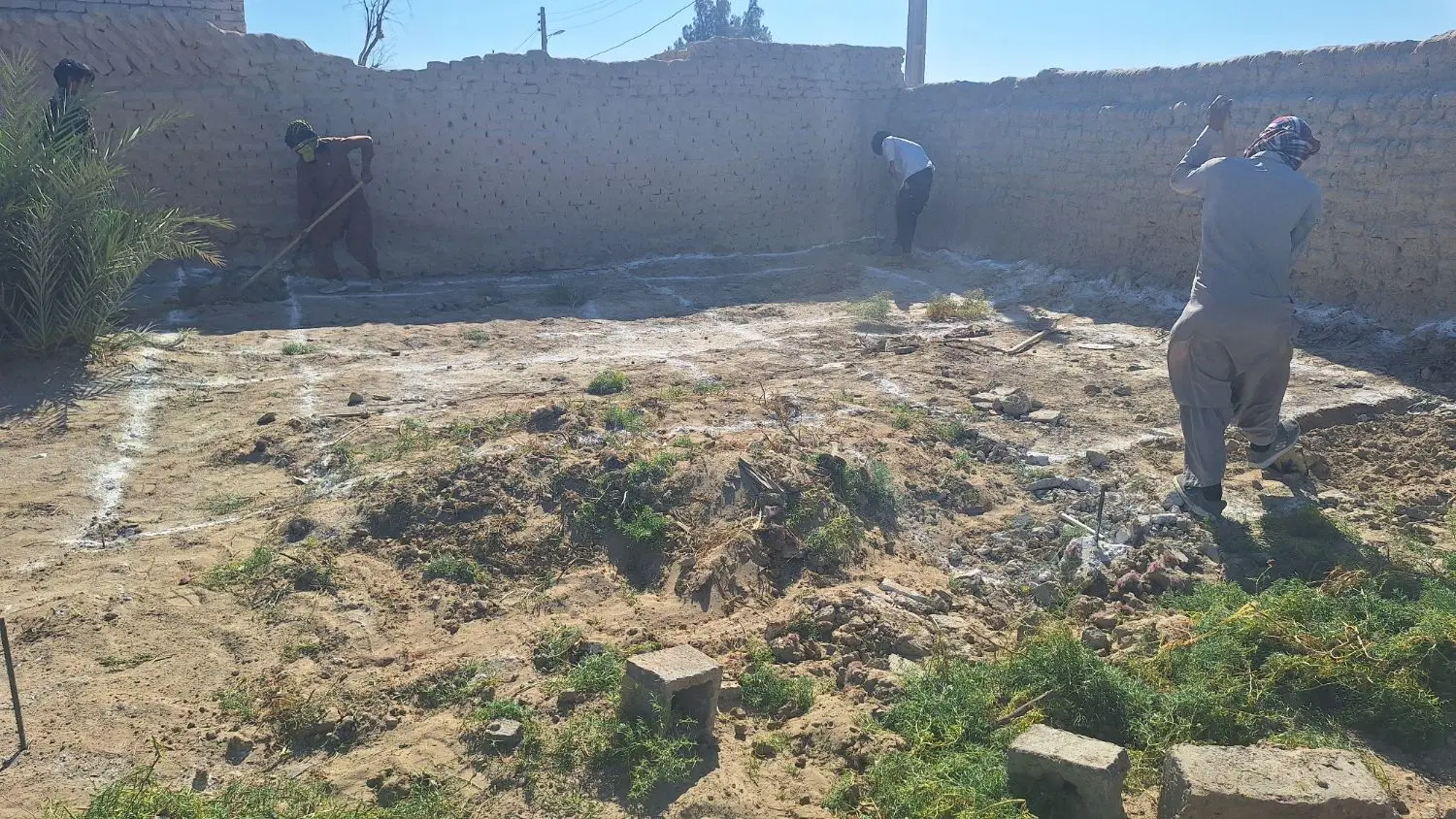 زمین کشاورزی