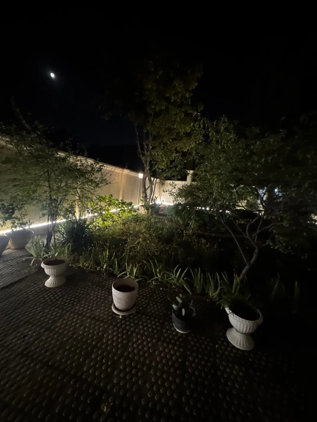 کلنگی میدان ملت ۳۰۰ متر