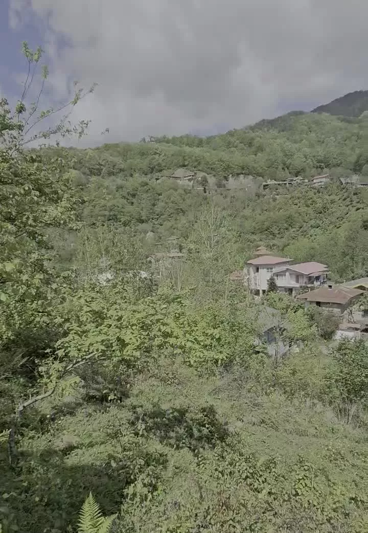 ۷۵۰ متر زمین رامسر، جاده جواهرده