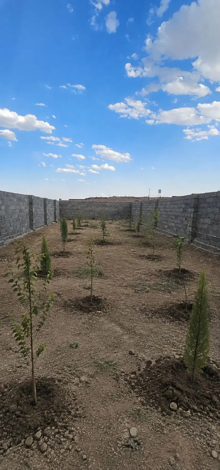 زمین ویلایی دیوار کشی شده باغ باغچه
