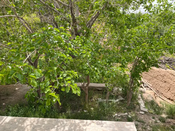 زمین،باغ ۲۲.۵ قصبی در بام جوپار