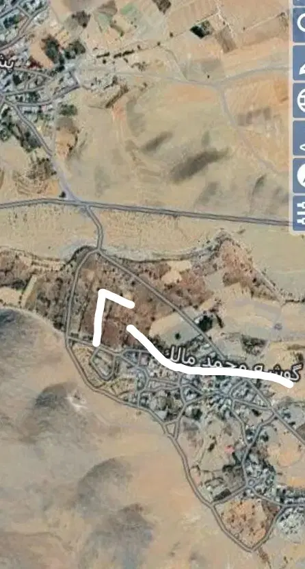 باغ انگور