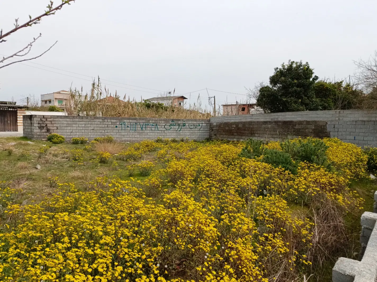 ۲۹۵ متر زمین