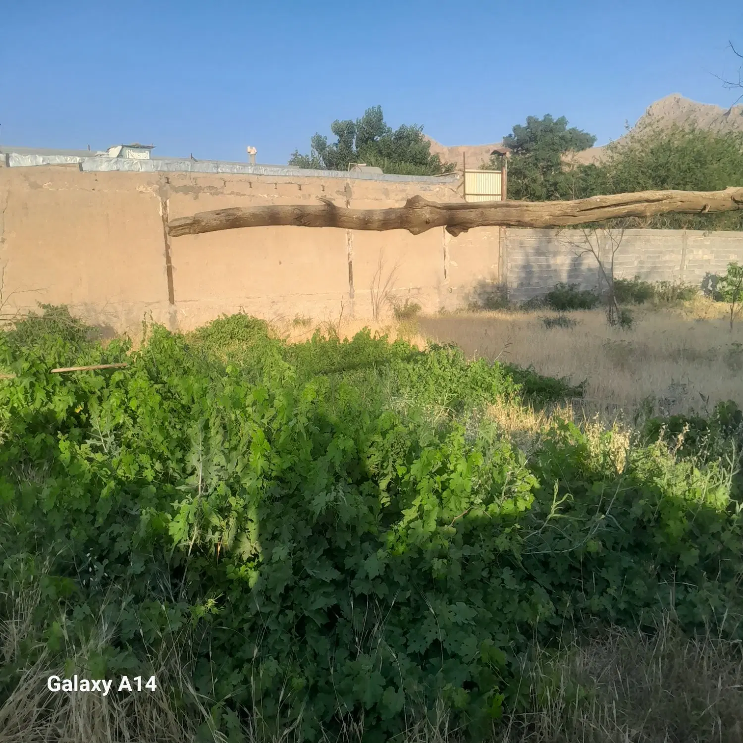 زمین باغ ۵۰۷مترجاده سنندج